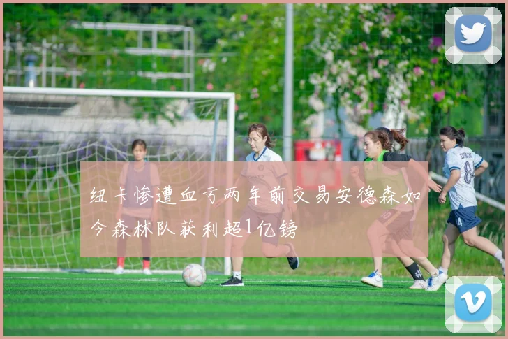 纽卡惨遭血亏两年前交易安德森如今森林队获利超1亿镑