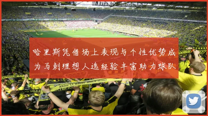哈里斯凭借场上表现与个性优势成为马刺理想人选经验丰富助力球队发展