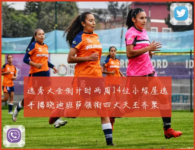 选秀大会倒计时两周14位小绿屋选手揭晓迪班萨领衔四大天王齐聚